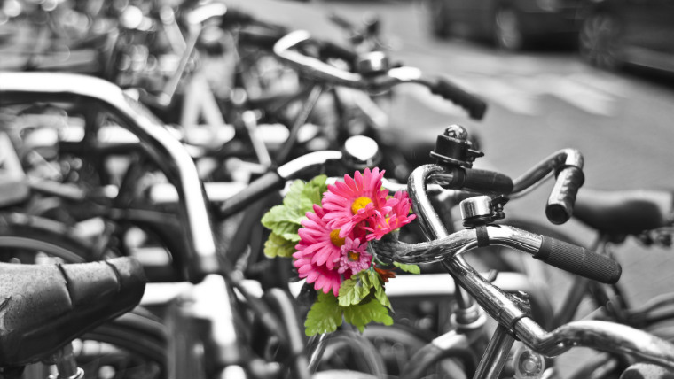 Амстердам экскурсия на велосипеде