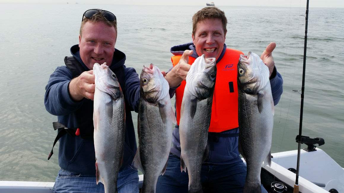 рыбалка в Нидерландах в Северном море
